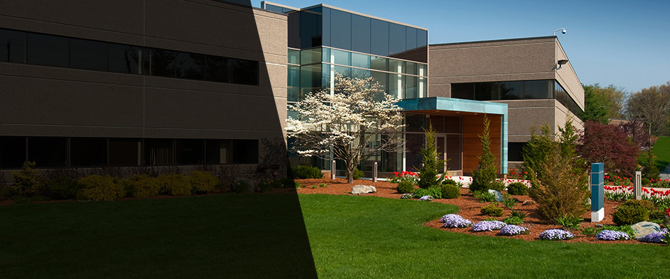 Ann Arbor Landscapers