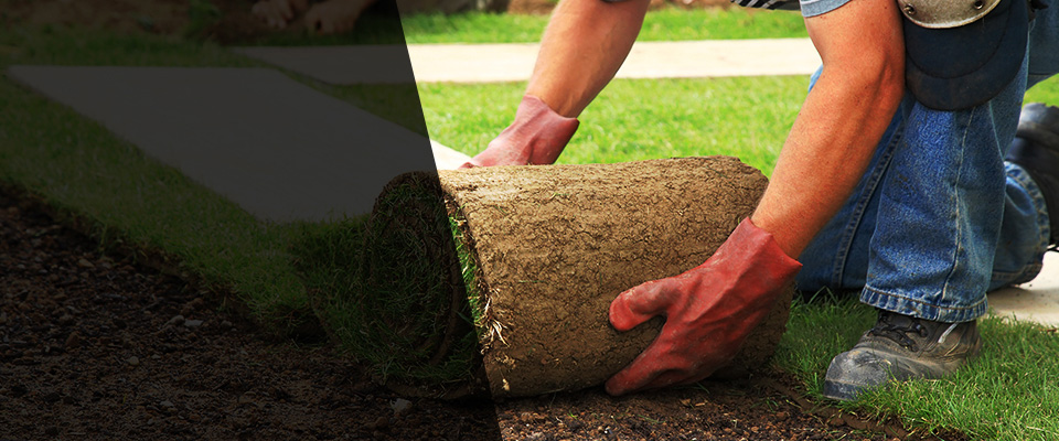 Ann Arbor Landscapers